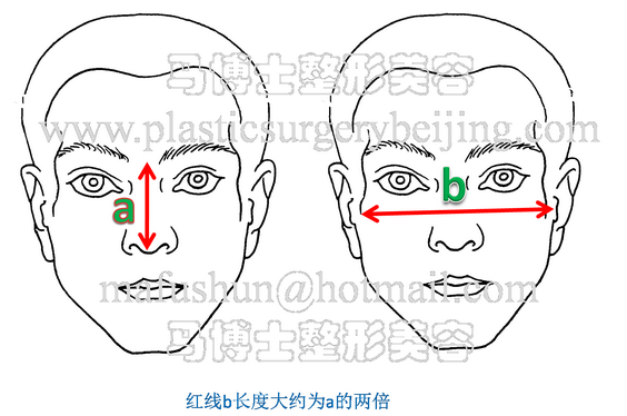 measurement of zygomatic bone and zygomatic arch